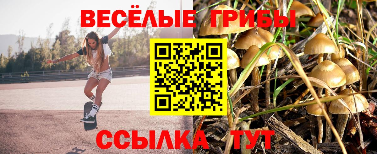 Галлюциногенные грибы MAGIC MUSHROOMS Екатеринбург