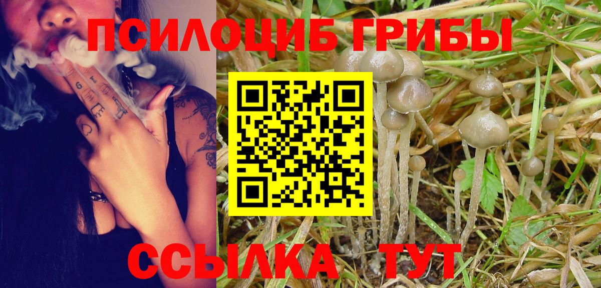 Галлюциногенные грибы Psilocybe  Вход с VPN  Екатеринбург 